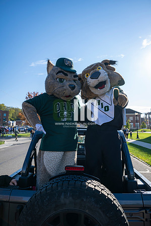Ohio University Marching 110