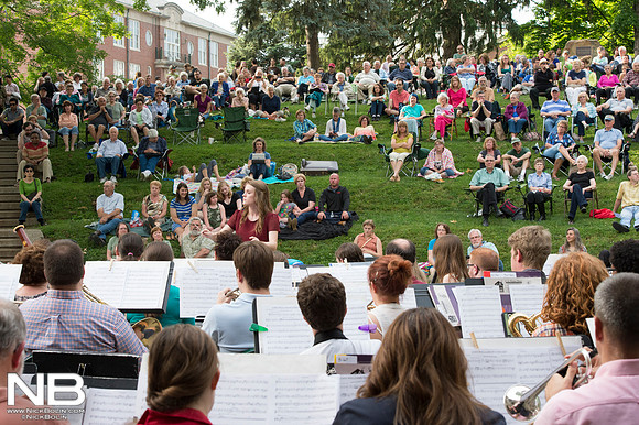 Under the Elms 2015