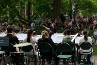 Under the Elms 2015