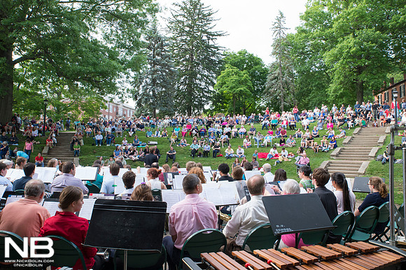 Under the Elms 2015