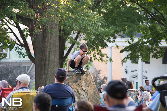 Under the Elms 2015