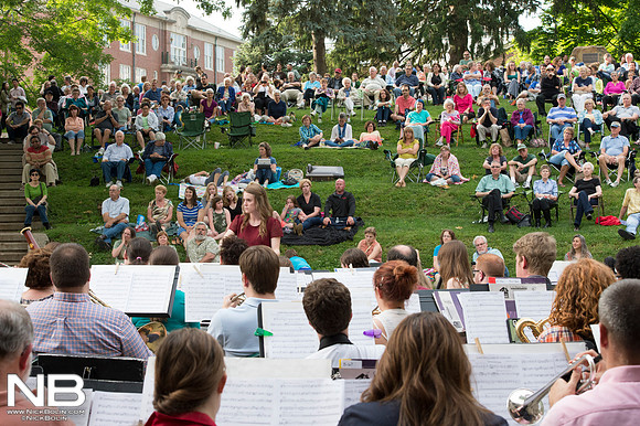 Under the Elms 2015