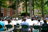 Under the Elms 2016