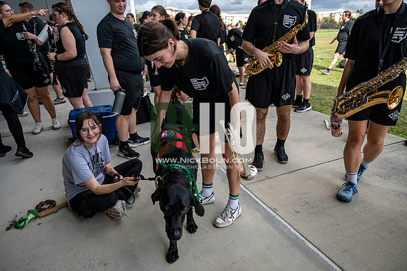 Ohio University Marching 110