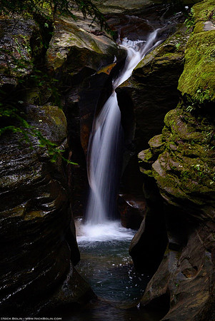 Robinson Fall