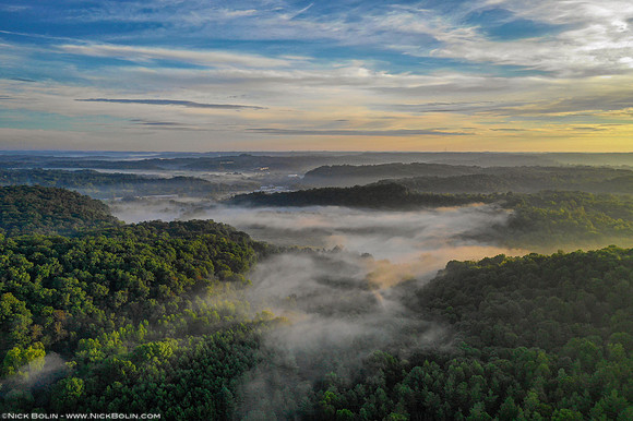 Morning Fog