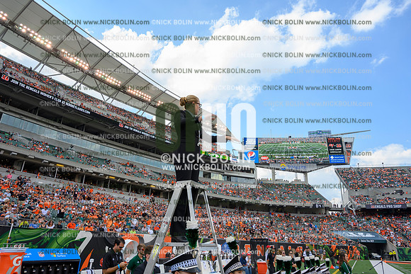 Ohio University Marching 110 Browns 2018