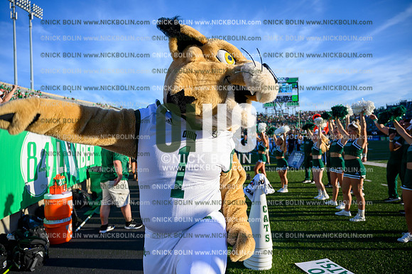 Marching 110 Marshal 2019