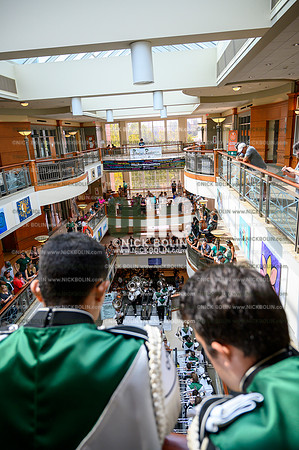 Marching 110 Louisiana 2019