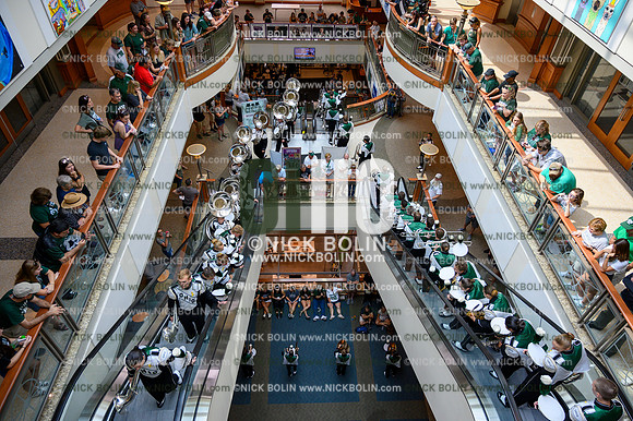Marching 110 Louisiana 2019