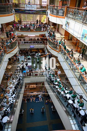 Marching 110 Louisiana 2019