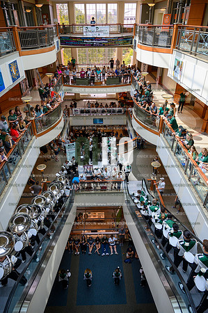 Marching 110 Louisiana 2019