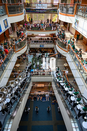 Marching 110 Louisiana 2019