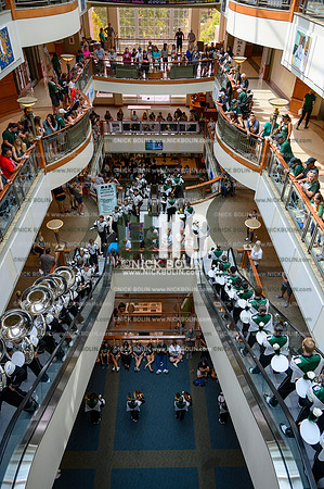Marching 110 Louisiana 2019
