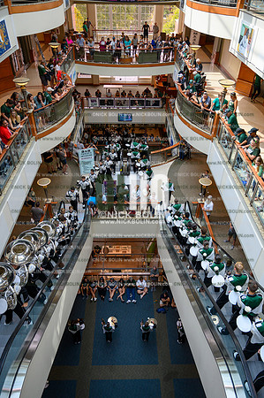 Marching 110 Louisiana 2019