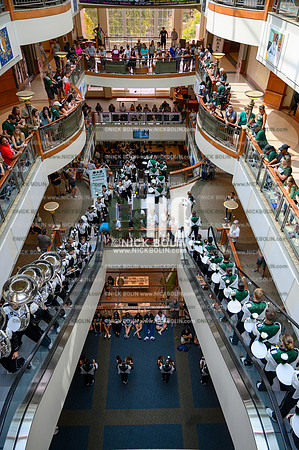 Marching 110 Louisiana 2019