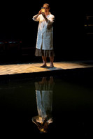 Metamorphoses