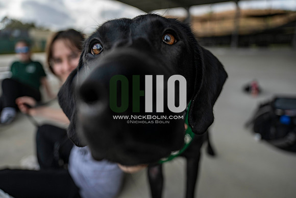 Ohio University Marching 110