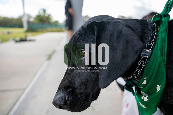 Ohio University Marching 110