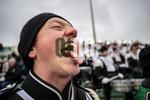 Ohio University Marching 110