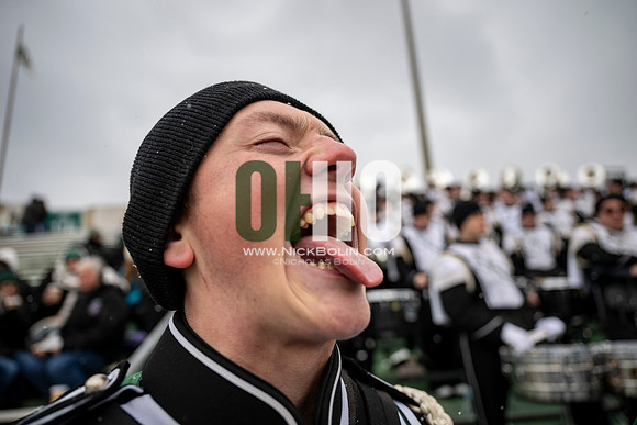 Ohio University Marching 110